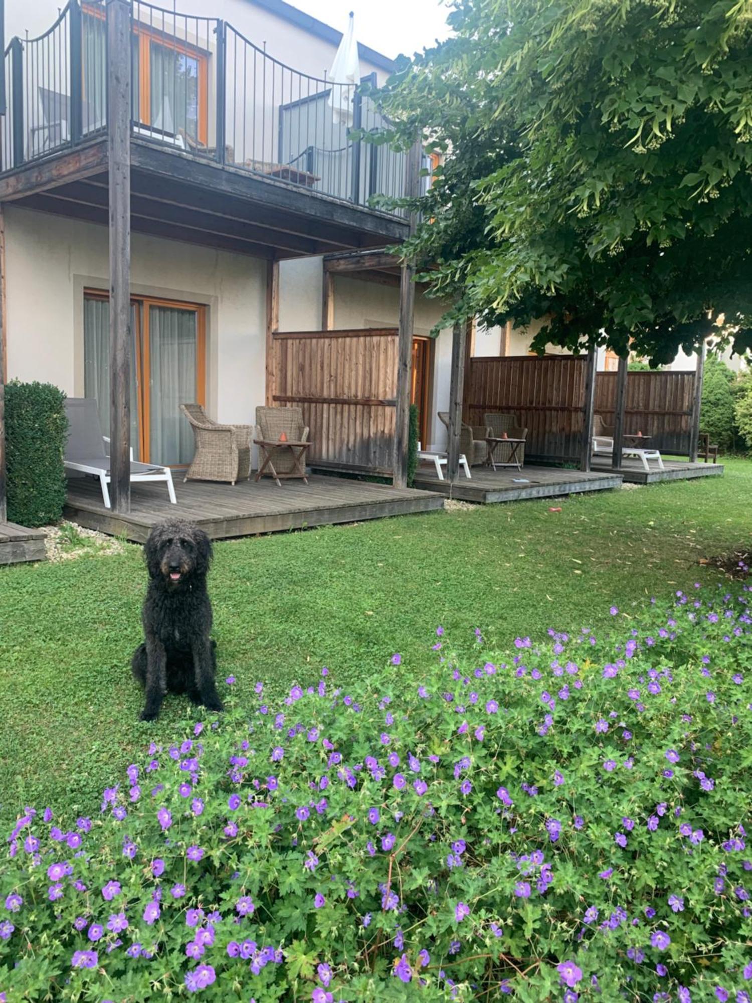 Garten-Hotel Ochensberger Sankt Ruprecht an der Raab Dış mekan fotoğraf